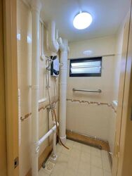Blk 19 GHIM MOH GARDENS (Queenstown), HDB 3 Rooms #486334891